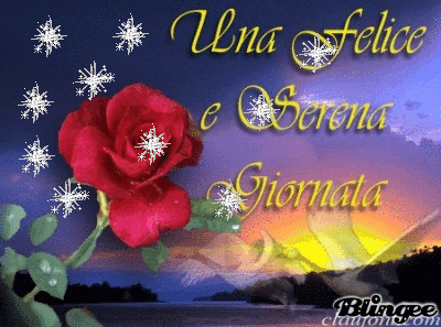 MERCOLEDI 9 GENNAIO 746075233_914288
