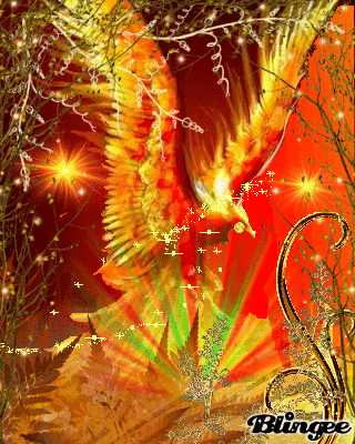 Fenice Infuocata Picture 126626849 Blingee Com