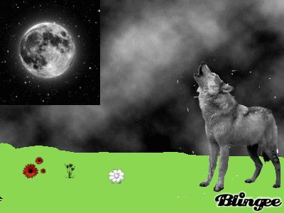 Https Encrypted Tbn0 Gstatic Com Images Q Tbn 3aand9gcs Zukswwvfzrsen0w1rwbtrgs0vspxwhch Q Usqp Cau