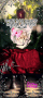 BreakingDawnLvr BreakingDawnLvr