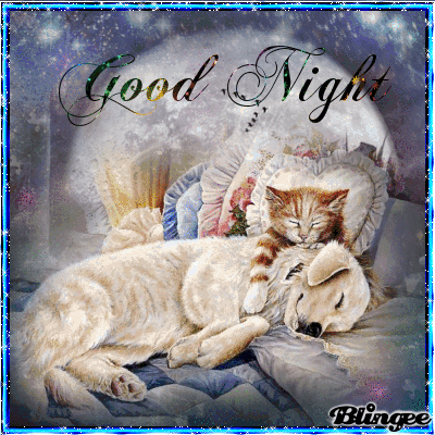 Codigos Y Descargas De Fotos Animadas Good Night Buenas Noches 126661885 767645137 Blingee Com Aquí te queremos aportar una pequeña ayuda con estas sensacionales imágenes de buenas noche, linda noche y feliz noche gifs. codigos y descargas de fotos animadas good night buenas noches 126661885 767645137 blingee com