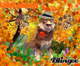 Autumn Hike