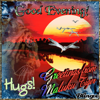 GOOD EVENING Picture #126733301 | Blingee.com