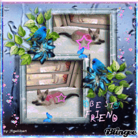 Para mi Amigo Fernando!