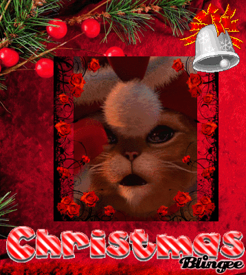 Feliz Natal... Gato, Gatinho