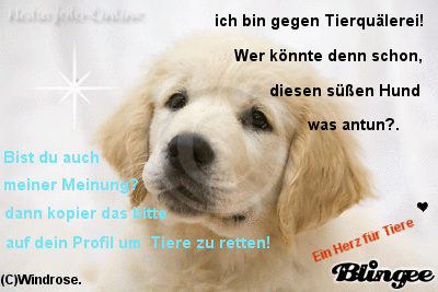 http://image.blingee.com/images18/content/output/000/000/000/790/748825598_548971.gif