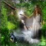 Fantasy collection