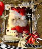 CRAZY X-MAS KITTY.....