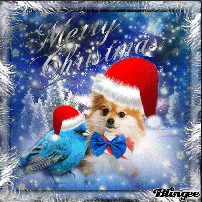 Merry Christmas Merry Christmas