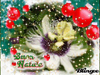 naturaleza naturaleza