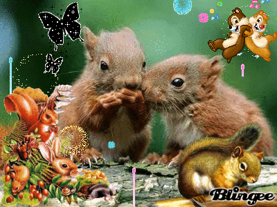 Codigos Y Descargas De Fotos Animadas Ardillas 127050334 771363442 Blingee Com Entra para ver el gif animado. codigos y descargas de fotos animadas ardillas 127050334 771363442 blingee com