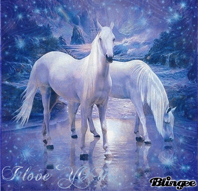 Gif di cavalli selvaggi tumblr