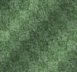 Astro turf