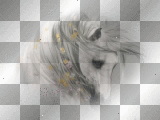 artemia