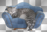 CHAT COOOOOOOOOOOOL