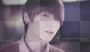 L.joe
