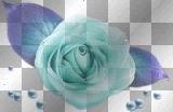 rose_pearls