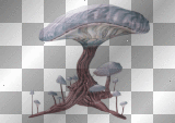 amon // mushrooms