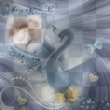 swans romantic bg