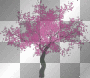 transparent tree spring flower dubravka