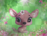 ツ Petshop Kangaroo Landscape__