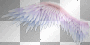 WingsPinkblue (thessa) WingsPinkblue (thessa)