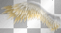 WingsSilverGold (thessa) WingsSilverGold (thessa)