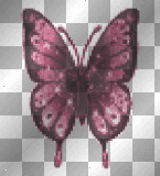 Breaking-Dawn-Part-1-The-Wedding-Posers-DK-Red Animated Butterfly©mousey2012