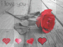 i love you hearts rose red i love you hearts rose red