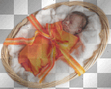 Newborn Baby In Basket