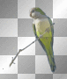 FANTASY BIRD JUNGLE PARROT GREEN BRANCHES 