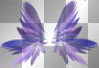 purple wings