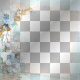 Frame flowers 