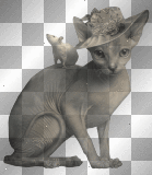 cat & mouse - by michelle1234oi™