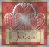 AM9505 amour