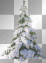 fir tree fir tree
