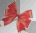 ribbon ribbon