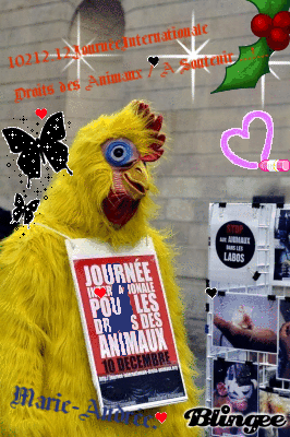 Journ&eacute;e Internationale Droits des Animaux Samedi 10 D&eacute;cembre 2011.