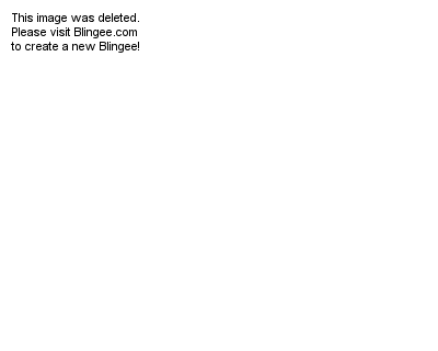 chaton au pied du sapin