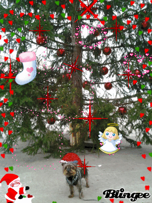 Https Encrypted Tbn0 Gstatic Com Images Q Tbn 3aand9gct7agsuhyrrc4u6uwksyxnjwxjvudhrc6v9 Q Usqp Cau