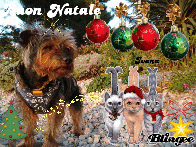 Card natalizia