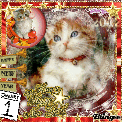 cats saying happy new year Picture #127401055 | Blingee.com