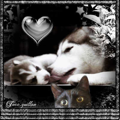 que c #39 est beau Picture #127464572 Blingee com