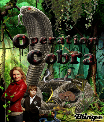 Operation Cobra Picture 127491101