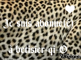 je suis abonne(é) a betisier-qi-O