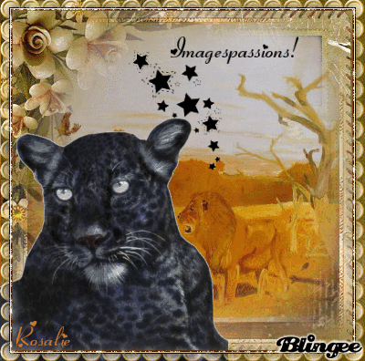 animaux sauvages no 6