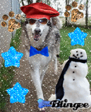 I Made a Snowman