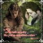 twilight saga