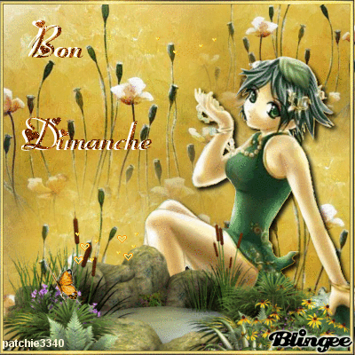 BON DIMANCHE