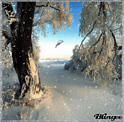 Paesaggio Invernale Immagini Animate Da Condividere 127706895 Blingee Com